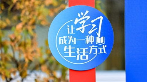 数字赋能，文化浸润 徐汇区打造开放式学习新生态